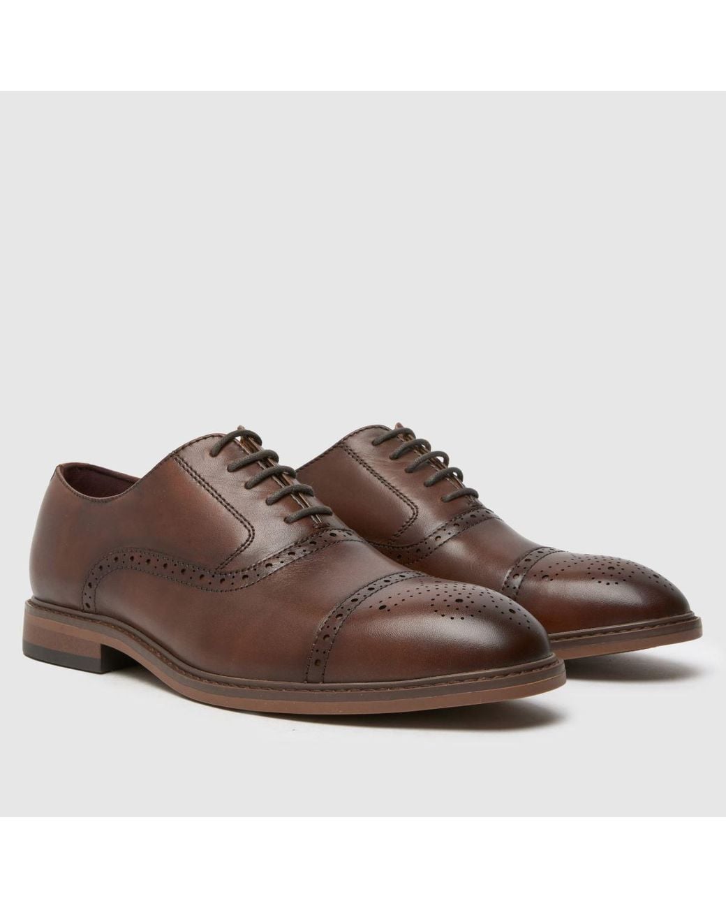 Schuh Brown Raven Brogue Shoes for men