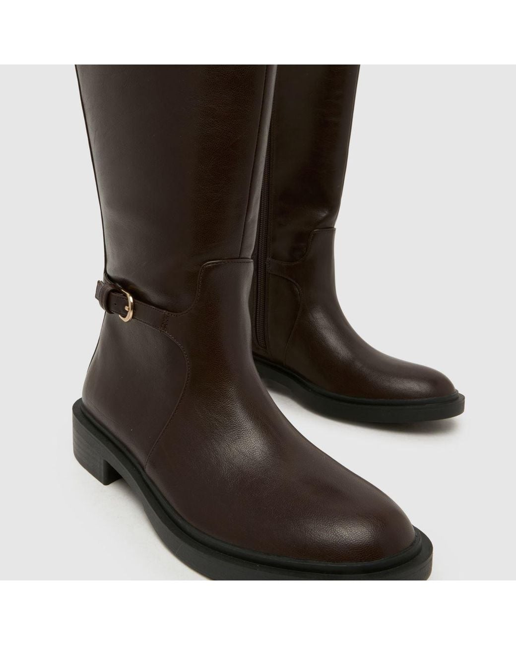 Schuh Brown Daniela Riding Boots