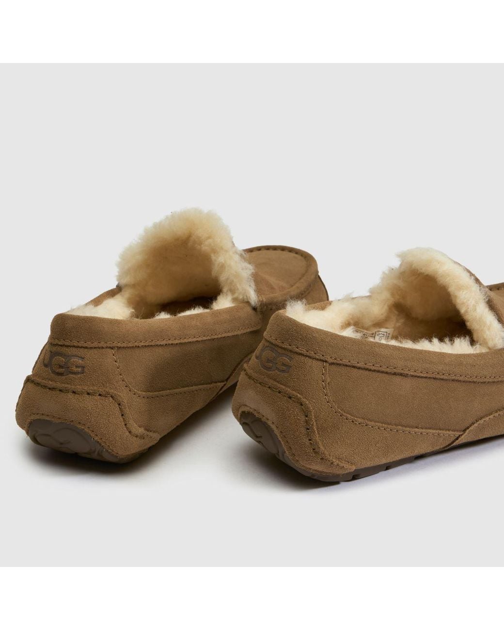 Ugg Brown Ascot Slippers for men