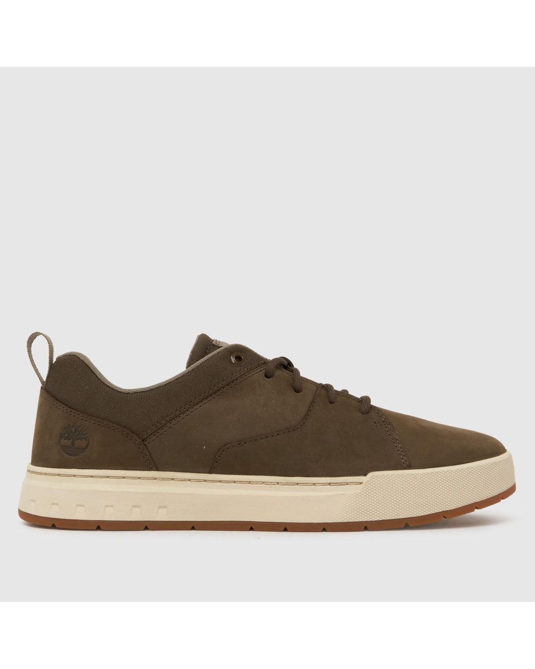 Timberland Brown Maple Grove Trainers for men