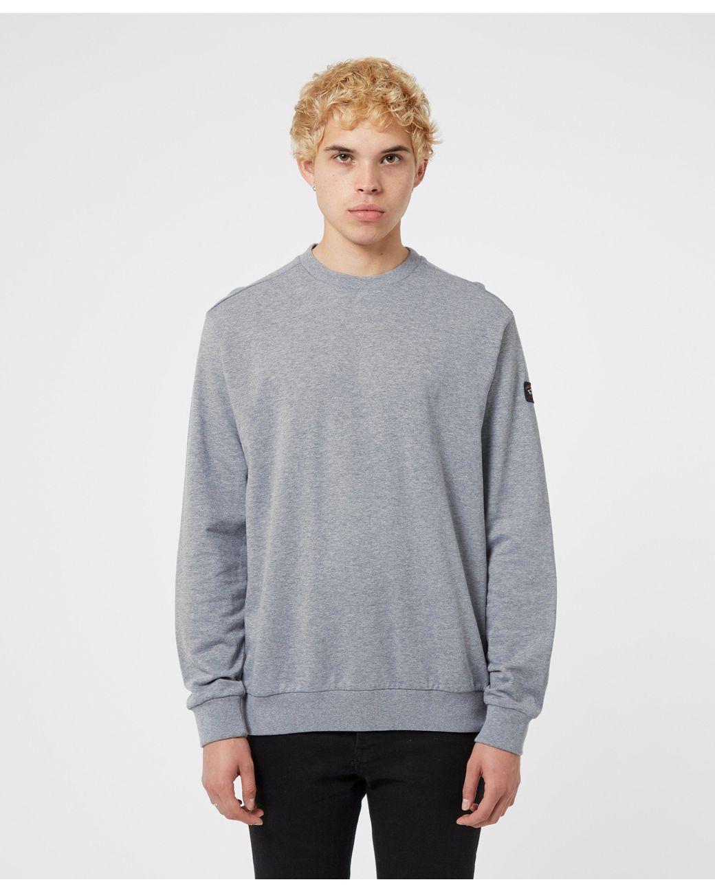 Paul & Shark Crew Neck Sweatshirt in Grey (Gray) for Men - Lyst