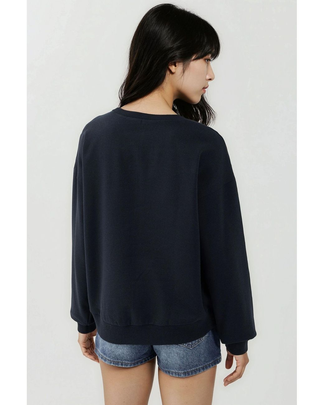 Hiccup Blue Printed Crew Neck Relaxed Fit Raised Sweatshirt