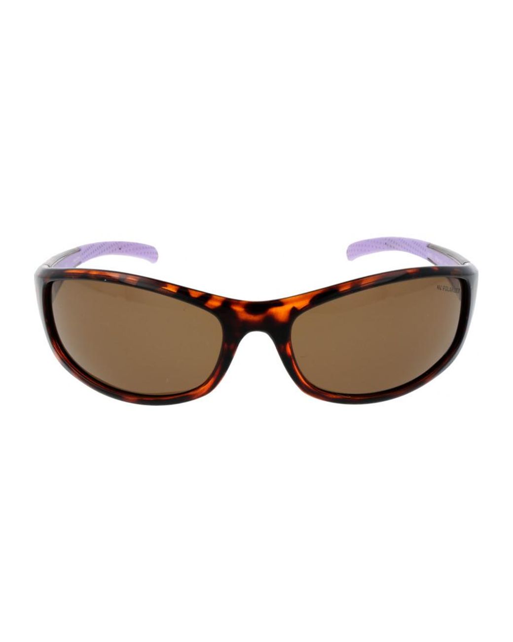 Champion Brown Sunglasses Cuw5207 C02 64