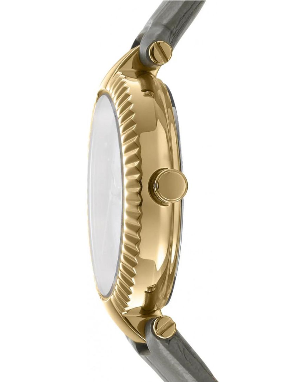 DKNY Metallic Dk1L042L0025 Ladies Watch