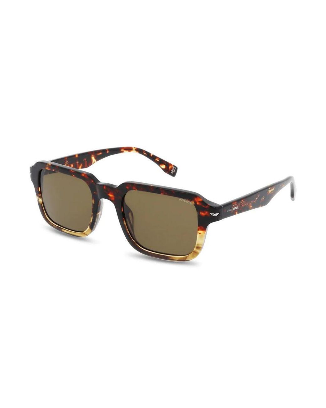 Police Brown Acetate Sunglasses for men
