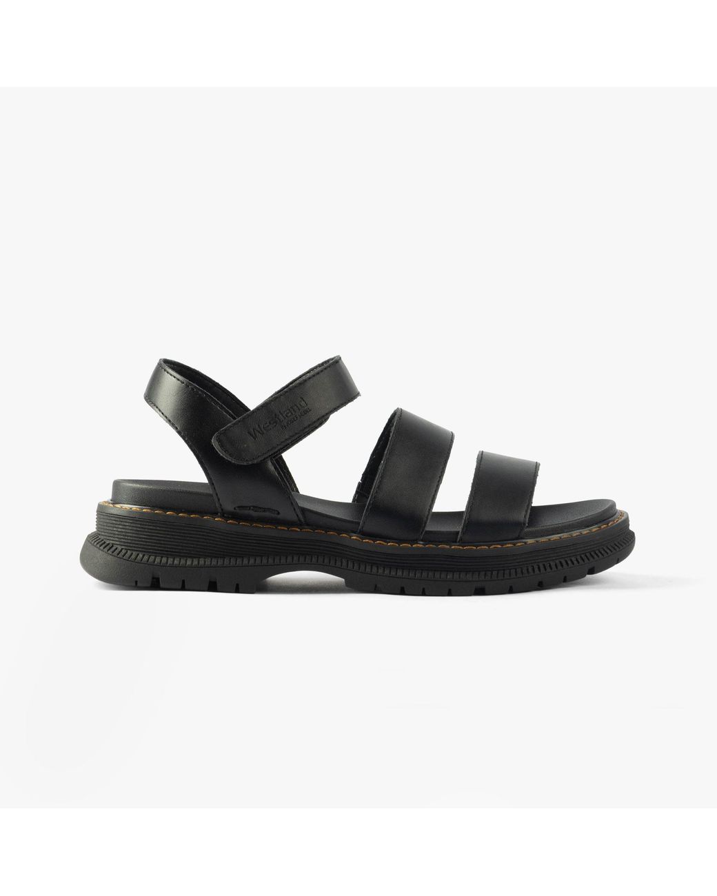 Westland Black Peyton 08 Sandals