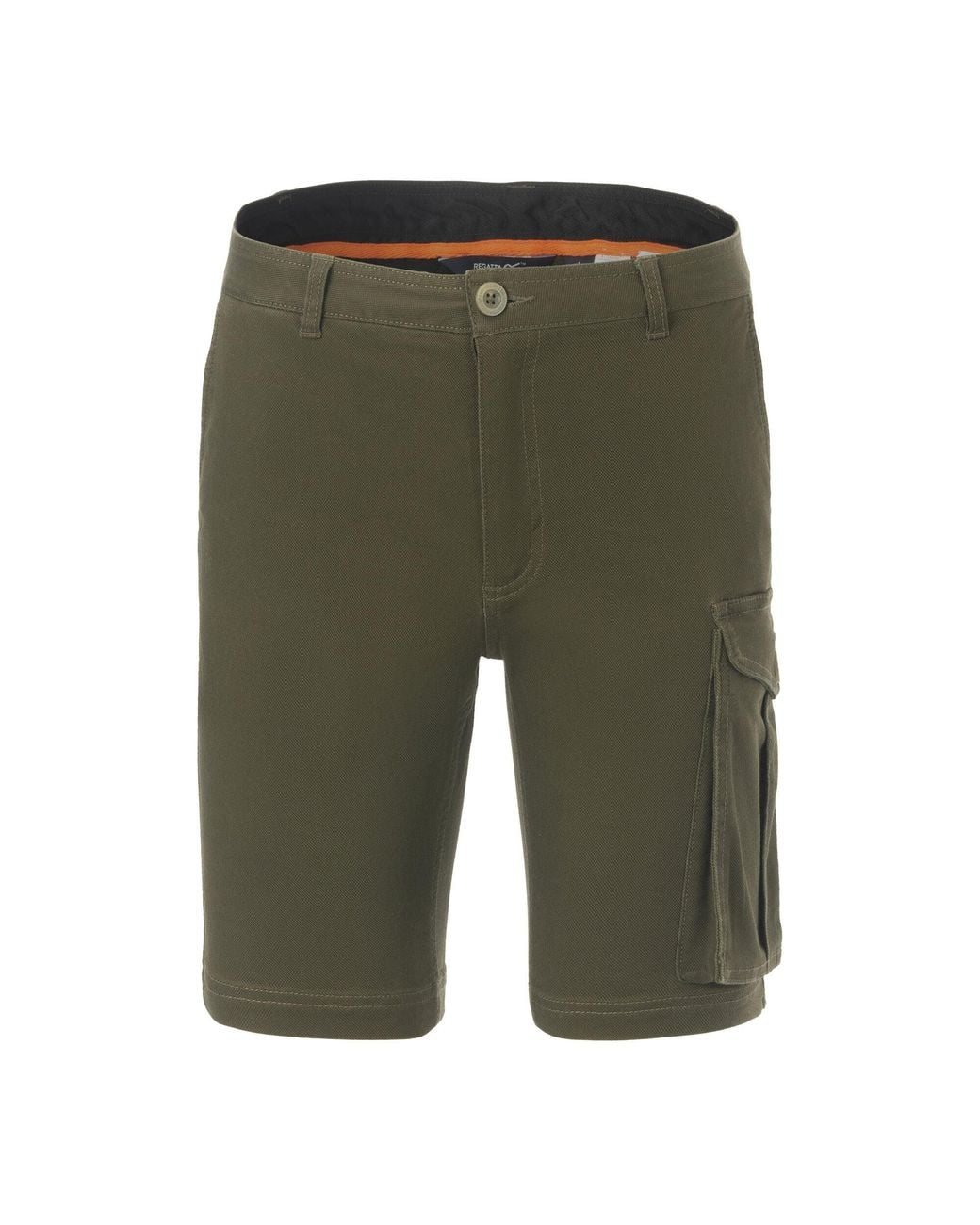 Regatta Green Bendrick Shorts (Dark) for men
