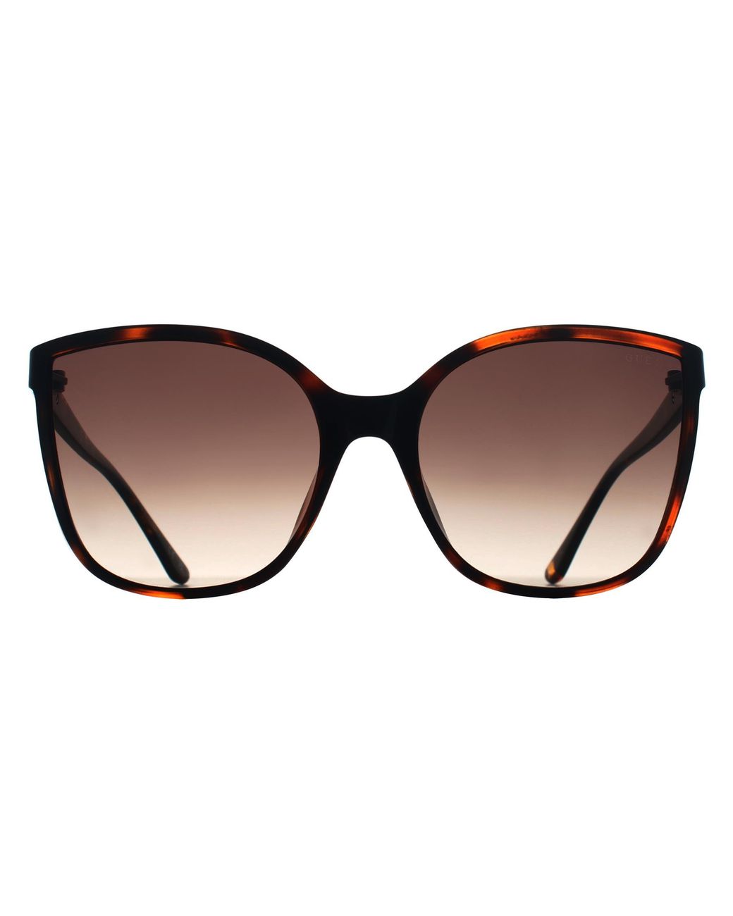 Guess Brown Cat Eye Dark Havana Gradient Gu00144