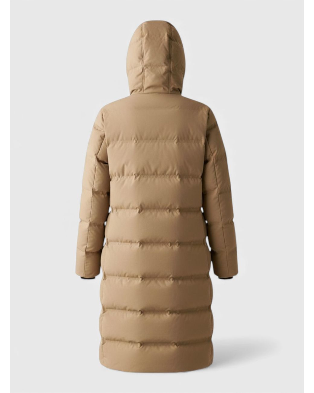 Dare 2b Natural Wander Padded Jacket Cashmere