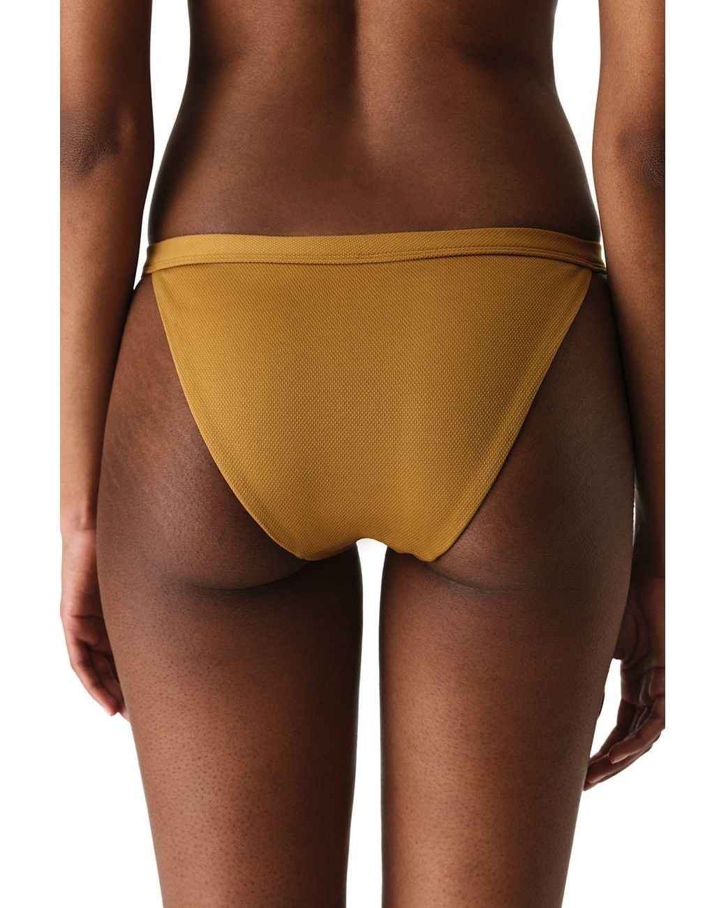Penti Brown Montana Side Textured Mid-Waist Bikini Bottom