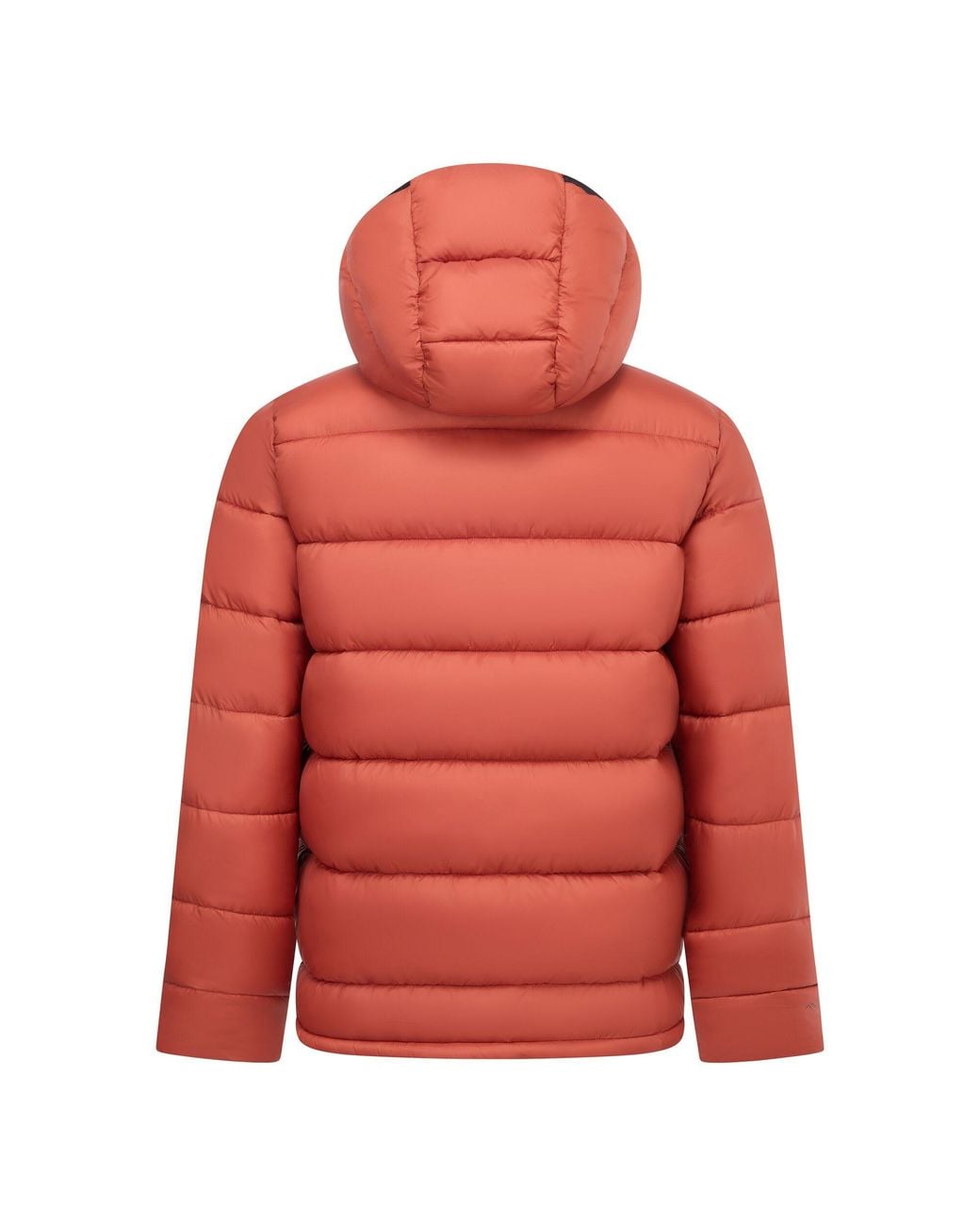 Regatta Red Munaro Padded Jacket (Burnt Henna) for men