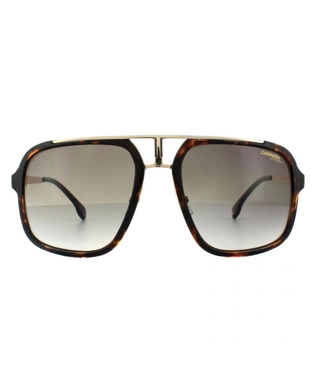 Carrera Brown Square Havana Gradient Sunglasses Metal