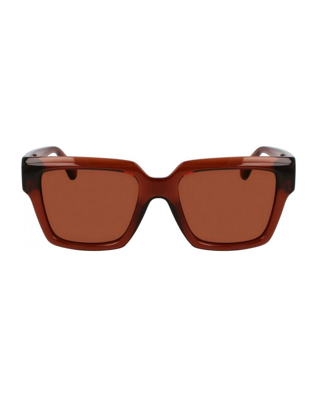 Ferragamo Brown Sf2014S 54 232 Sunglasses