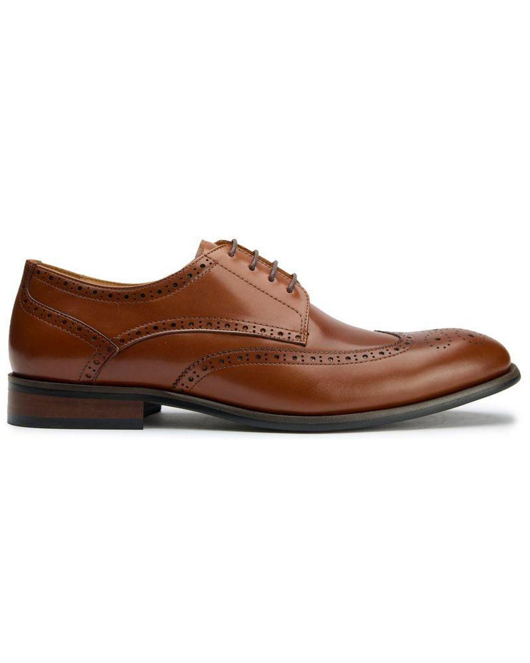 Sole Brown Ldn Hoggle Brogue Shoes for men