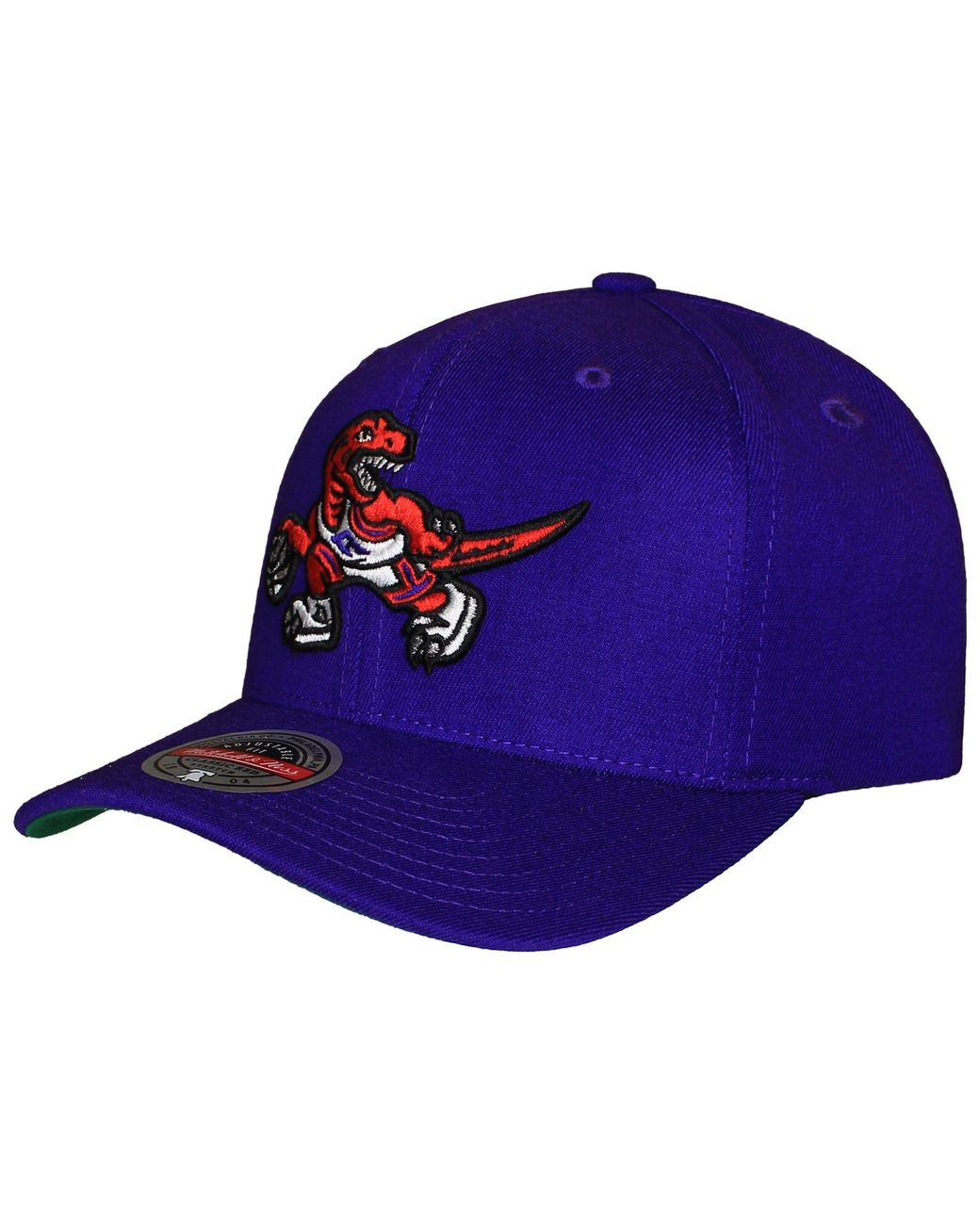 Mitchell & Ness Blue Nba Toronto Raptors Team Ground Cap for men