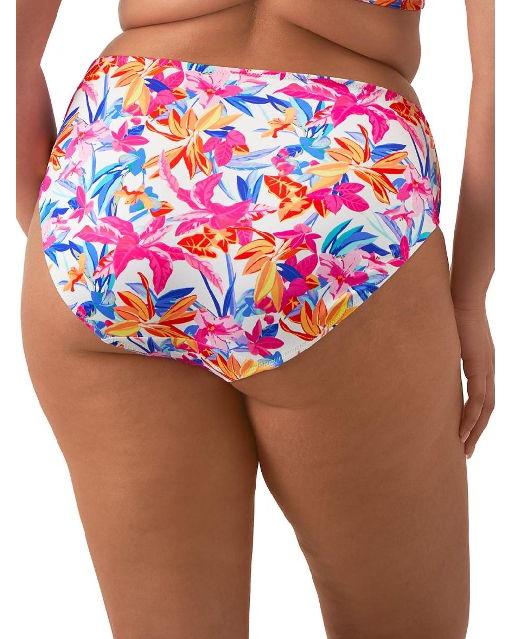 Elomi Pink Savaneta Mid Rise Bikini Brief