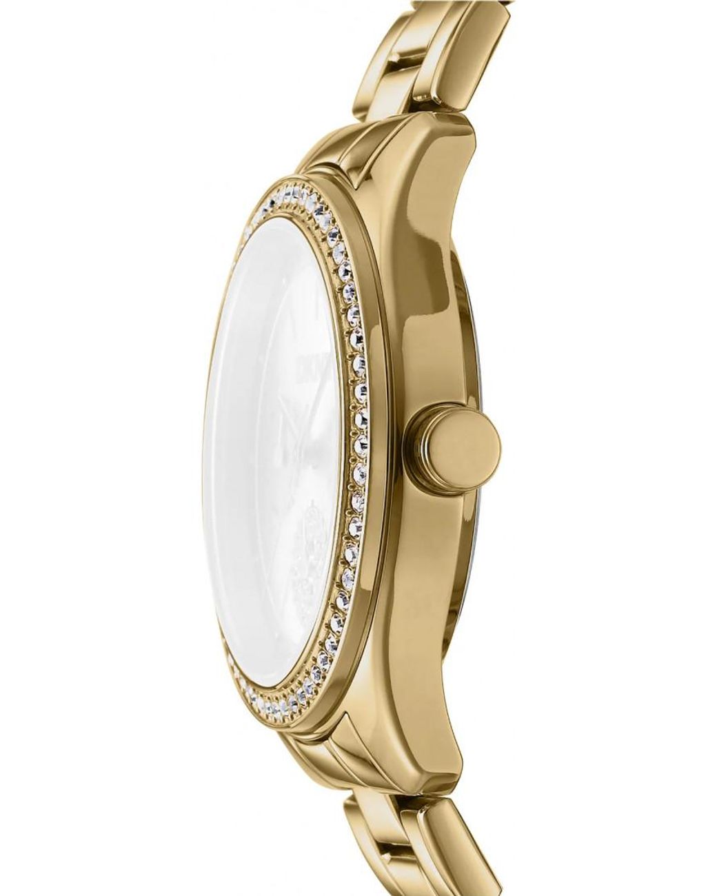 DKNY Natural Dk1L129M0055 Ladies Watch