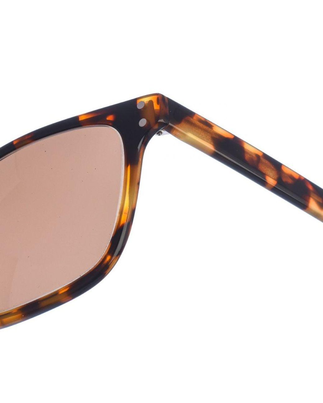 Zen Brown Z475 Square Shaped Acetate Sunglasses
