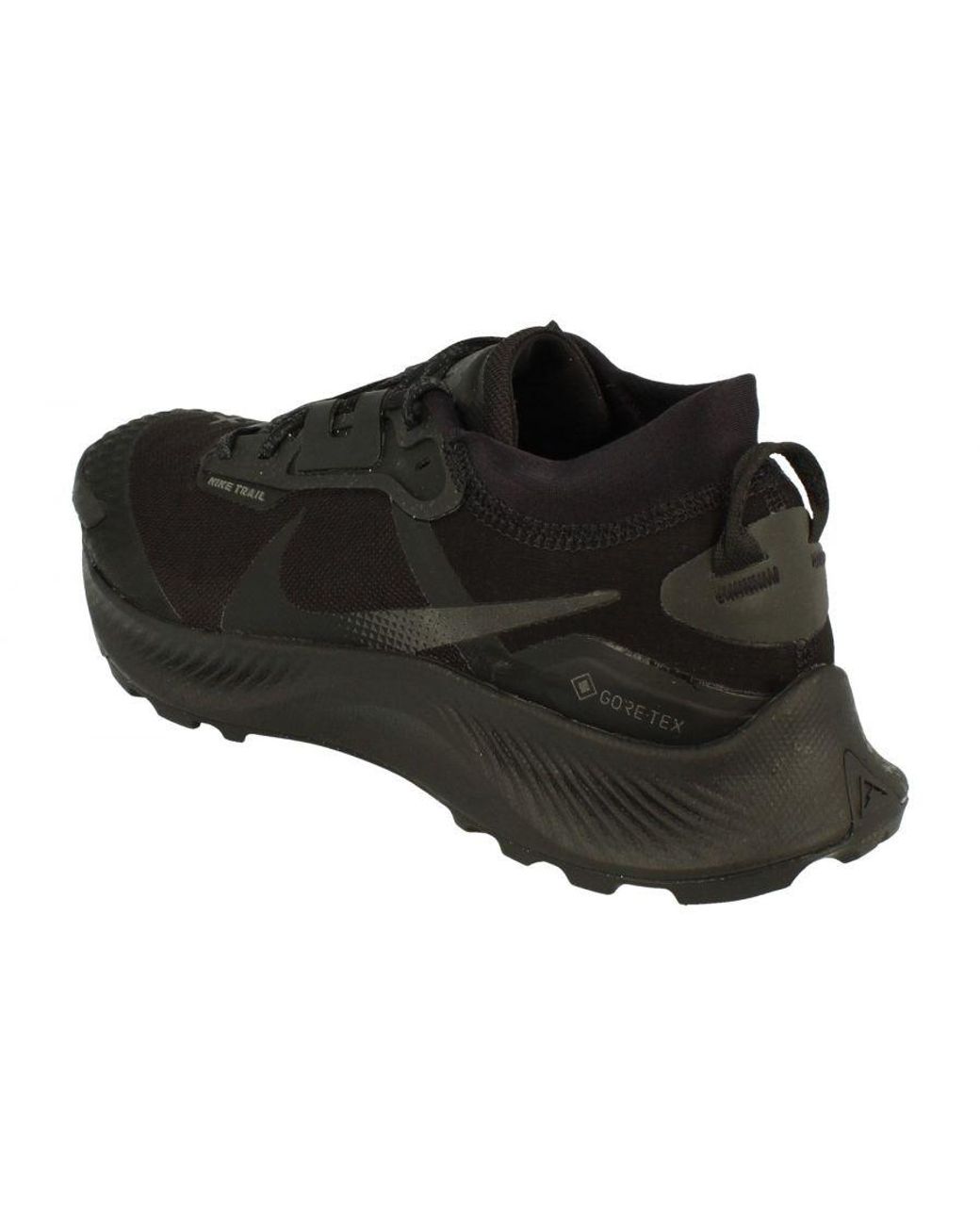 Nike Black Air Pegasus Trail 3 Gtx Trainers for men