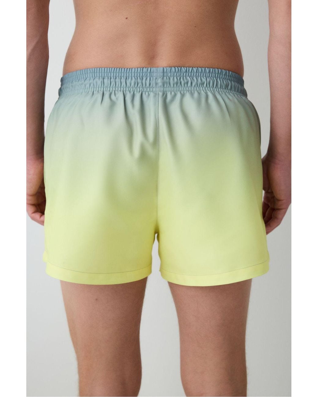 Penti Green Degrade Striped Swim Shorts for men
