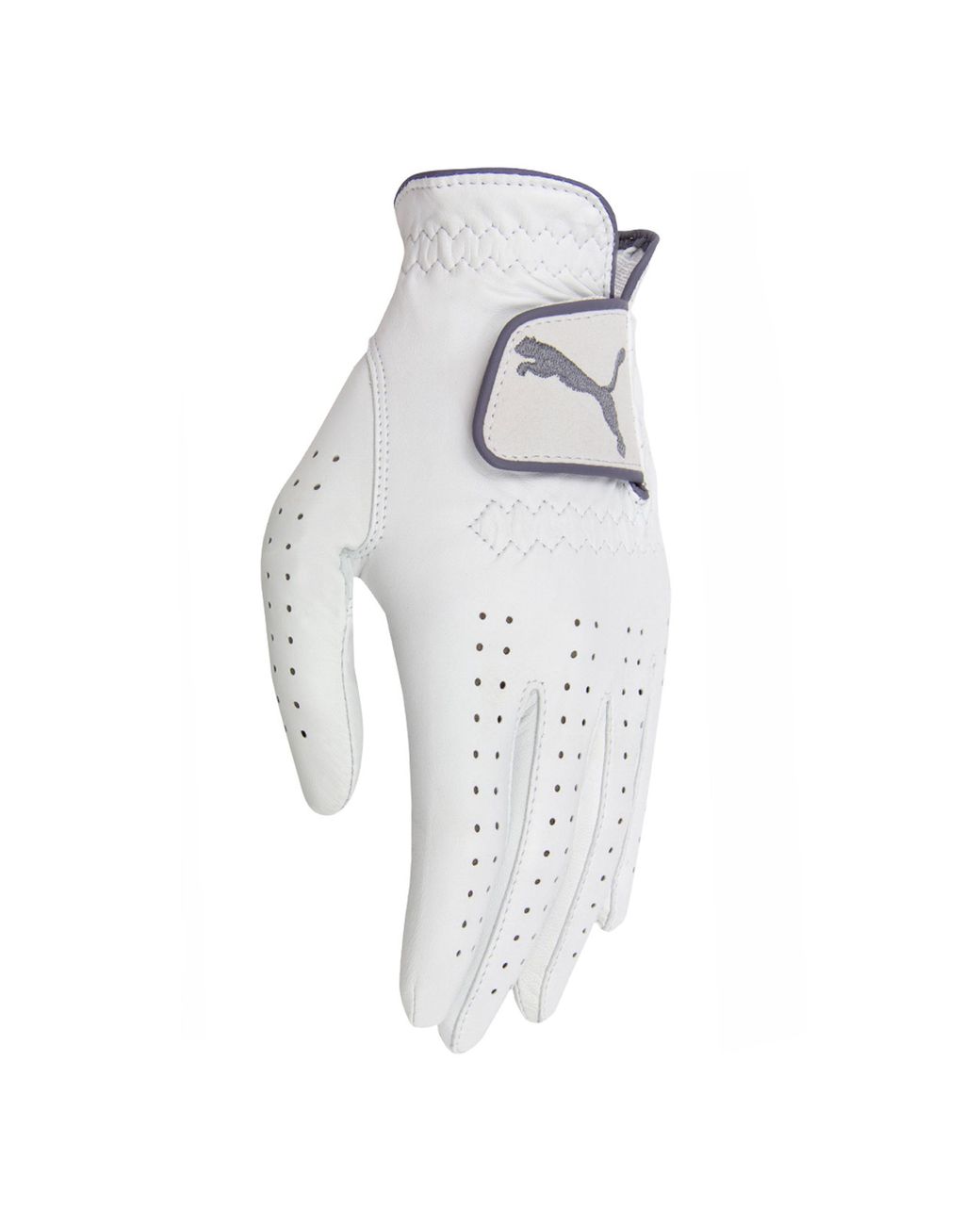 PUMA Metallic Pro Performance Left Hand Leather Golf Glove 041242 01 Leather (Archived)