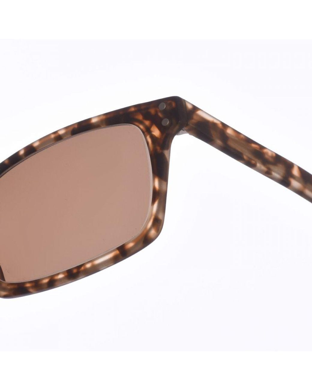 Zen Brown Z405 Rectangular Shape Acetate Sunglasses