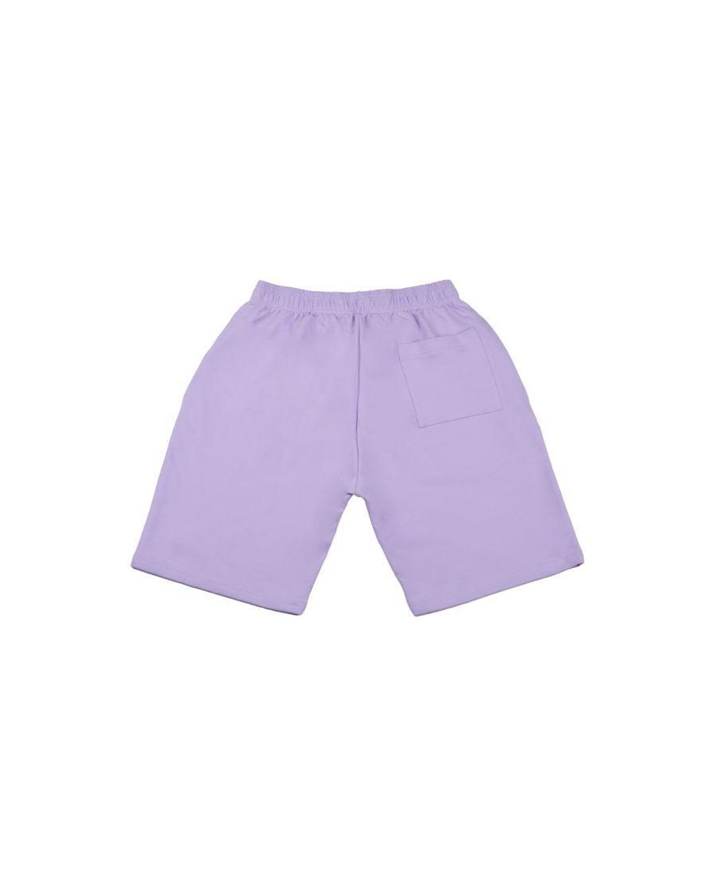 Superb Purple Be Happy Rsc-S2108 Plain Sports Shorts