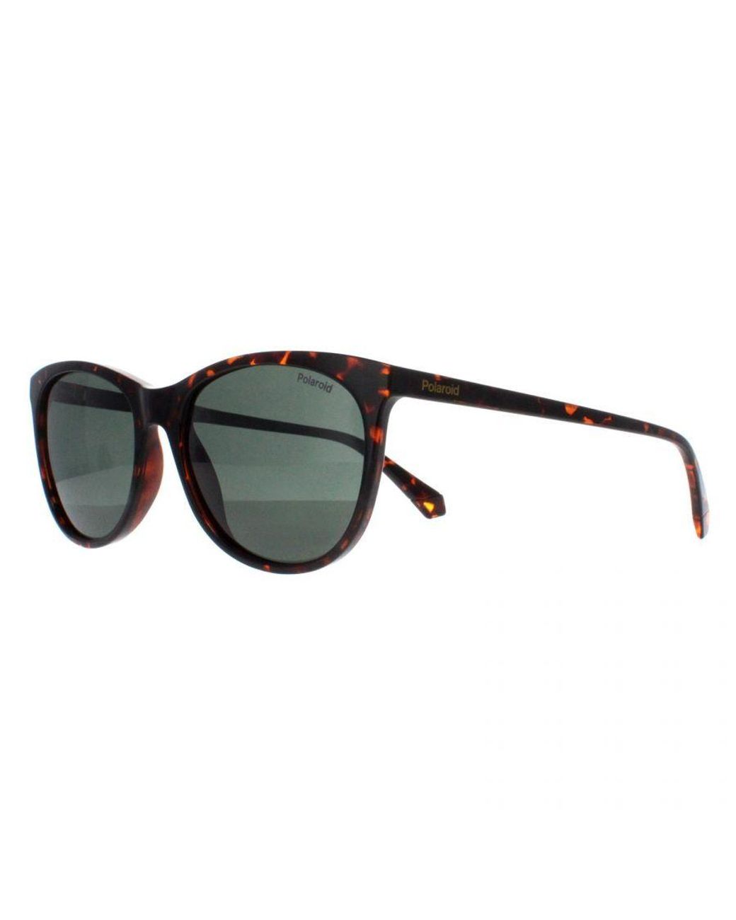 Polaroid Gray Cat Eye Havana Polarized Pld 4161/S