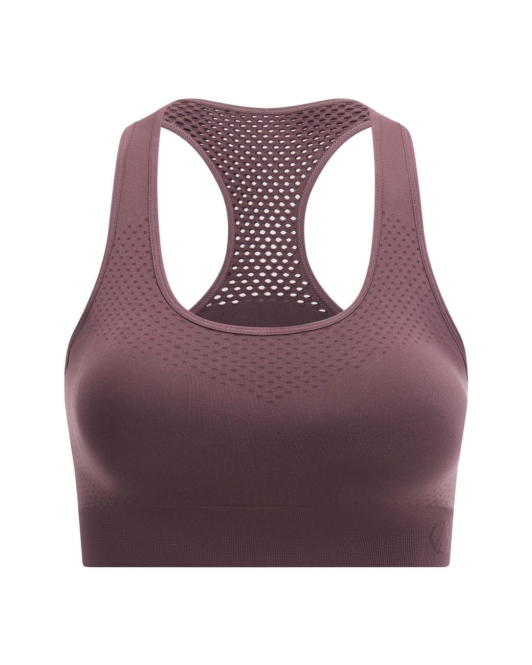 Dare 2b Purple Ladies Dont Sweat It Ii Sports Bra (Huckleberry)