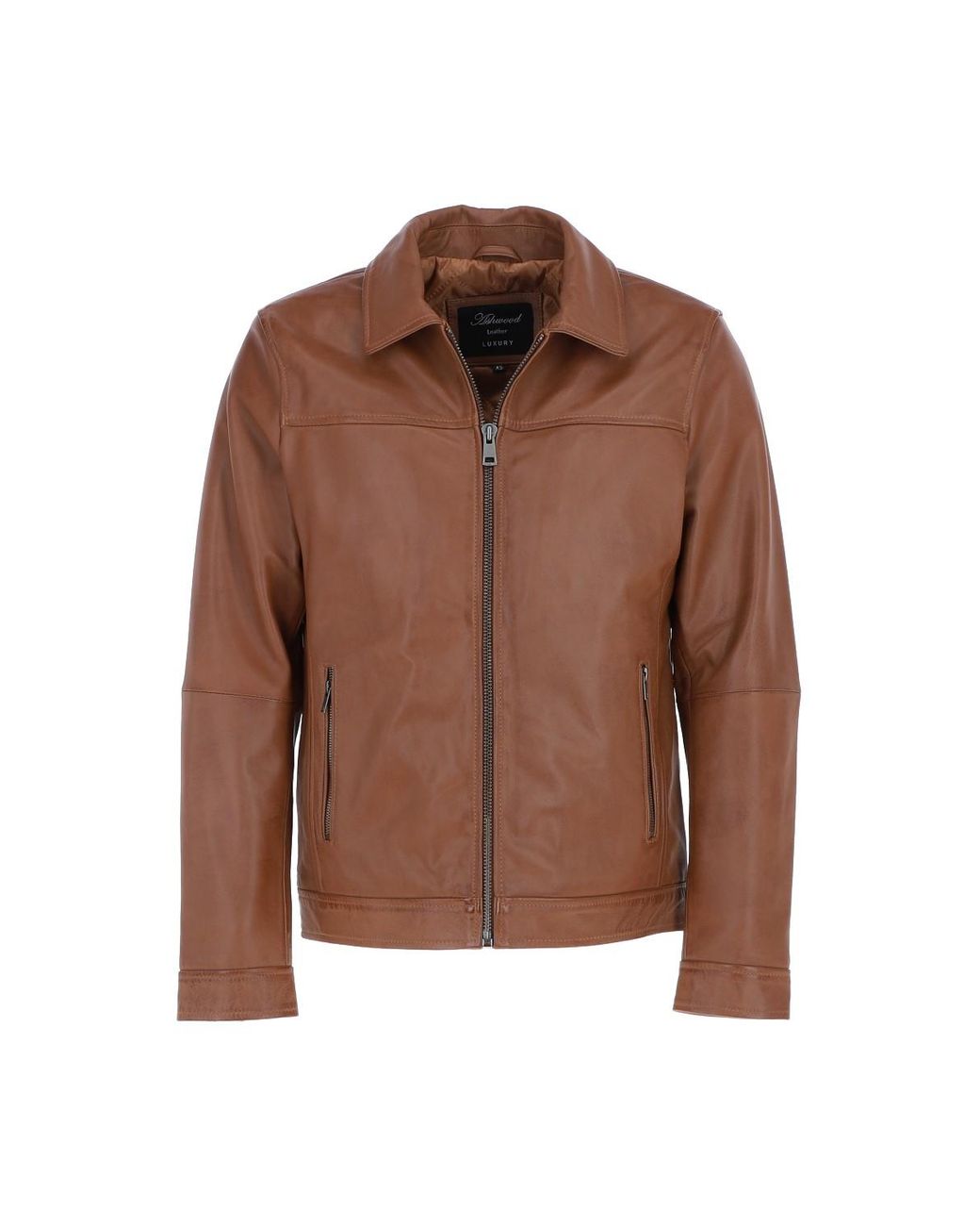 Ashwood Leather Brown Real Brando Jacket for men