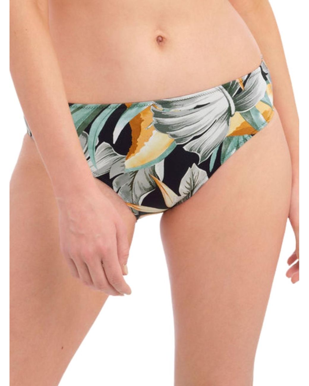 Fantasie Multicolor Bamboo Grove Mid Rise Bikini Brief
