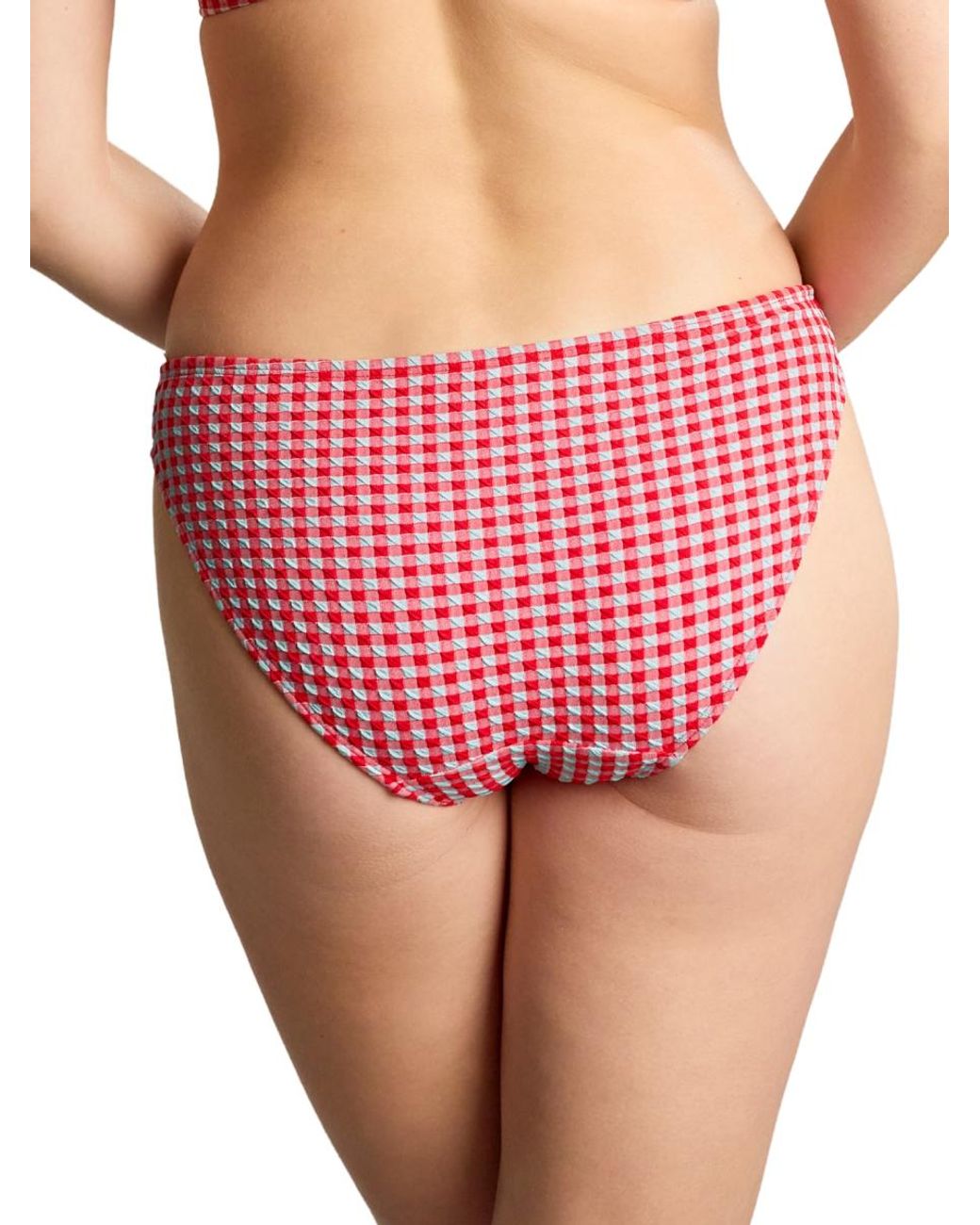 Panache Red Gingham Classic Bikini Brief