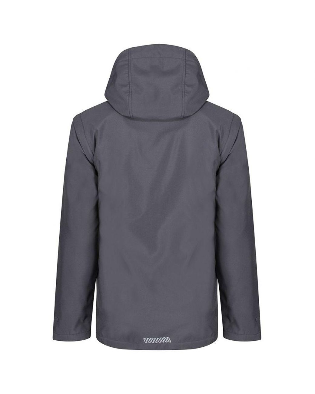 Regatta Blue Erasmus 4 for men