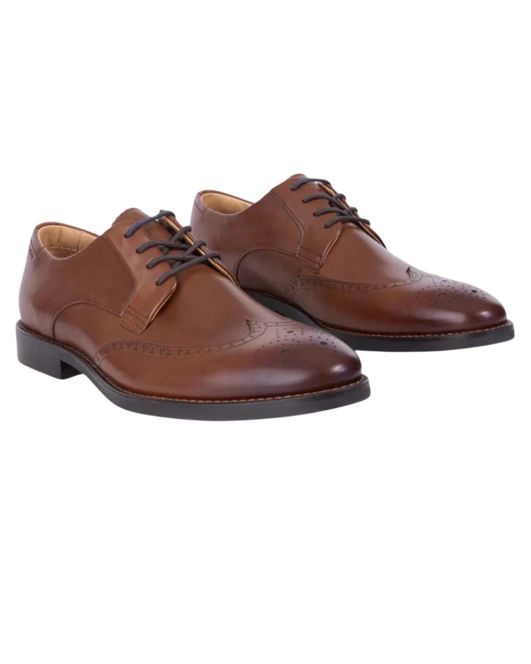 Ted Baker Brown Hacknie Wing Tip Tan Dress Shoes for men