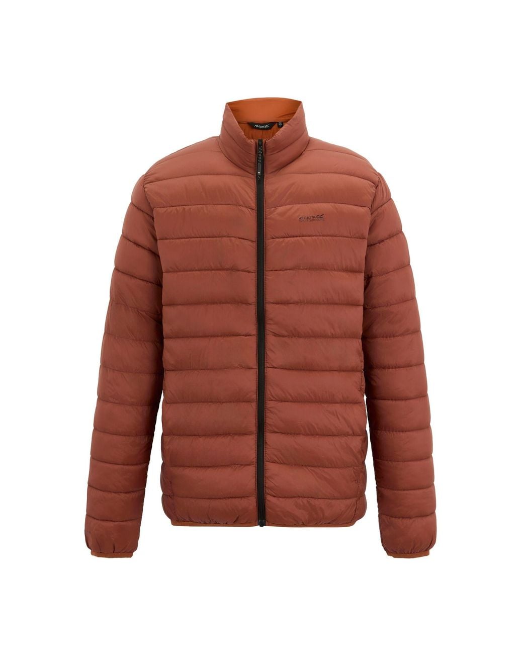 Regatta Brown Marizion Padded Jacket (Burnt Henna) for men