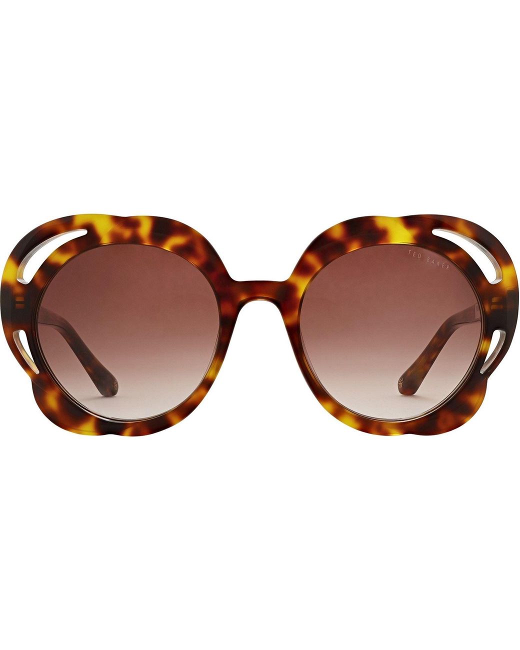 Ted Baker Brown Aurora Sunglasses for men