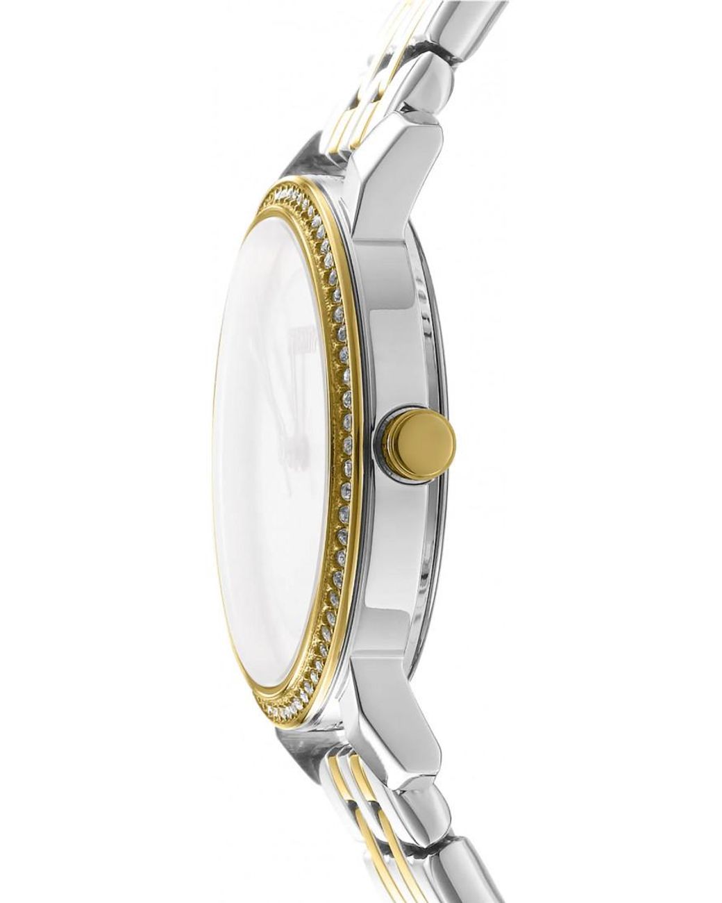 DKNY Metallic Dk1L065M0065 Ladies Watch