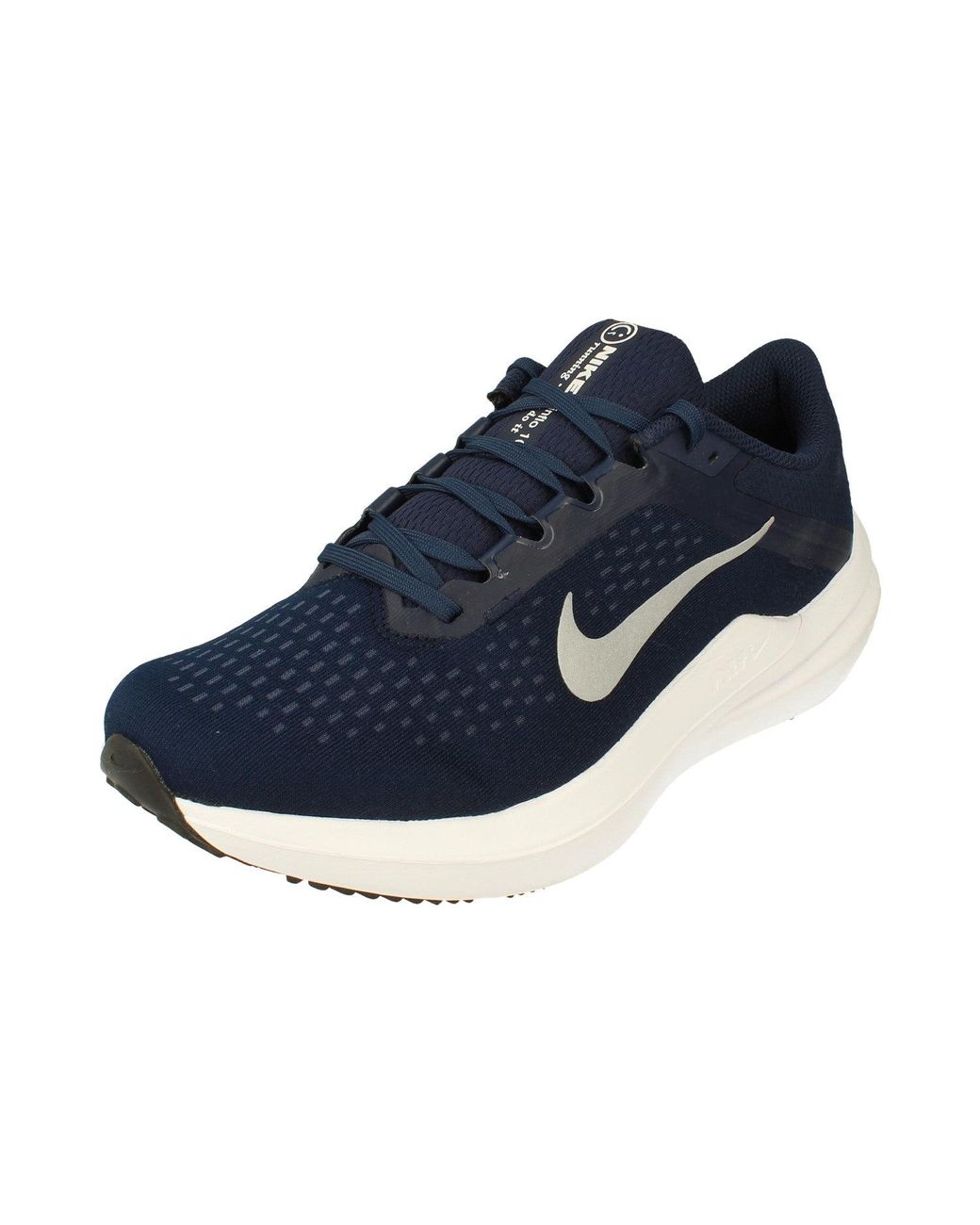 Nike Blue Air Winflo 10 Running Trainers for men