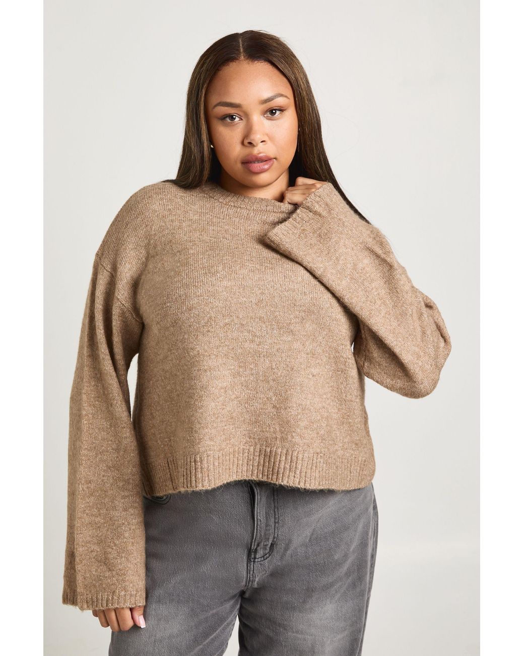 Boohoo Brown Plus Crew Neck Jumper