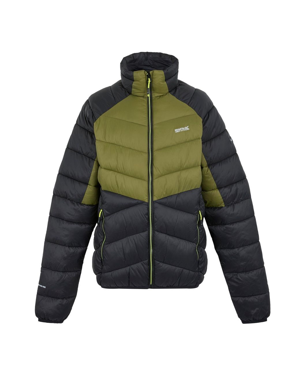 Regatta Green Dalent Padded Jacket (Nephrite/ Material_Synthetic