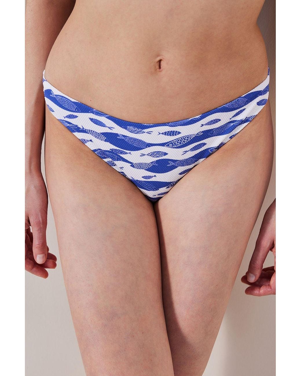 Penti Blue Printed Mid-Waist Bikini Bottoms