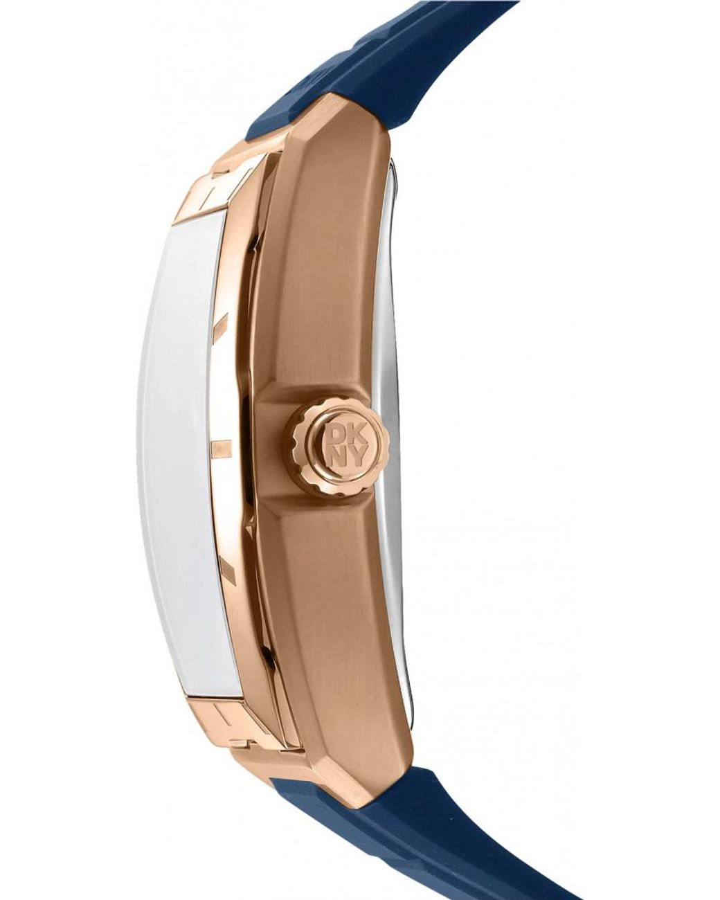 DKNY Blue Dk1G048P0045 Watch for men