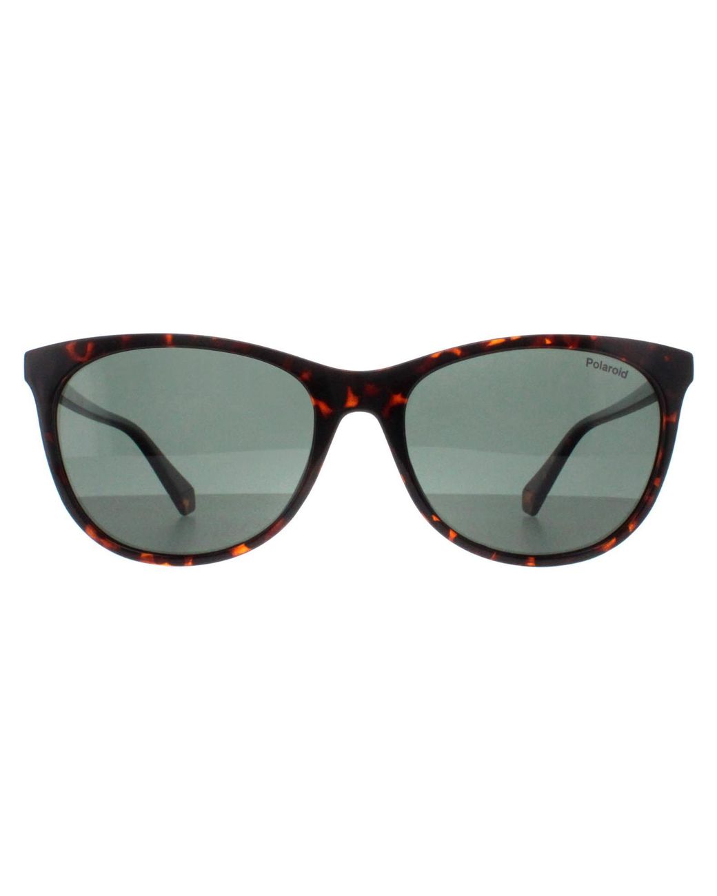 Polaroid Gray Cat Eye Havana Polarized Pld 4161/S