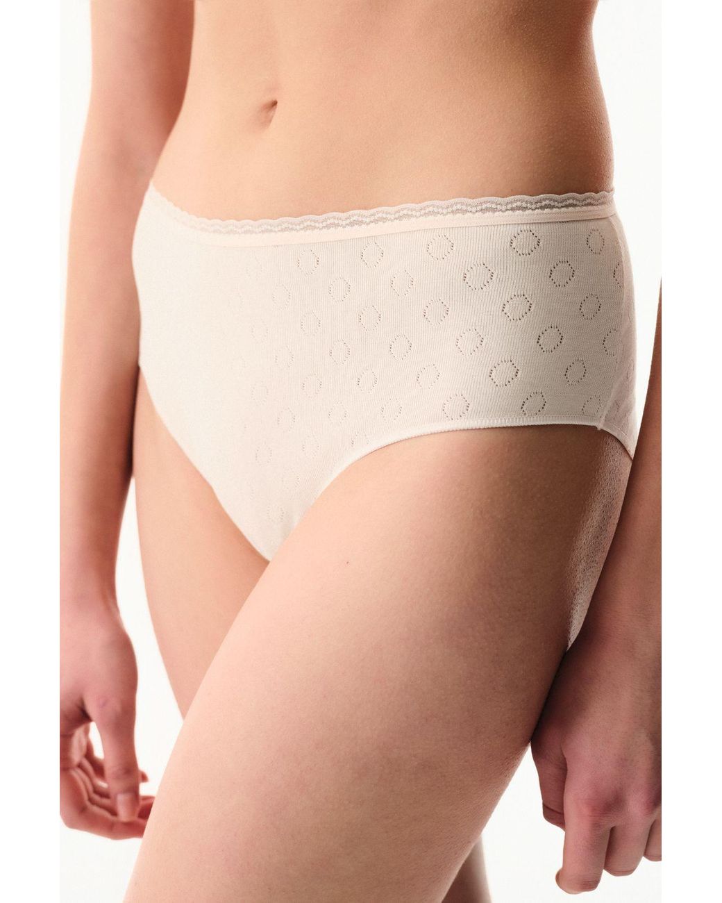 Penti Natural Pointel Floral Hipster