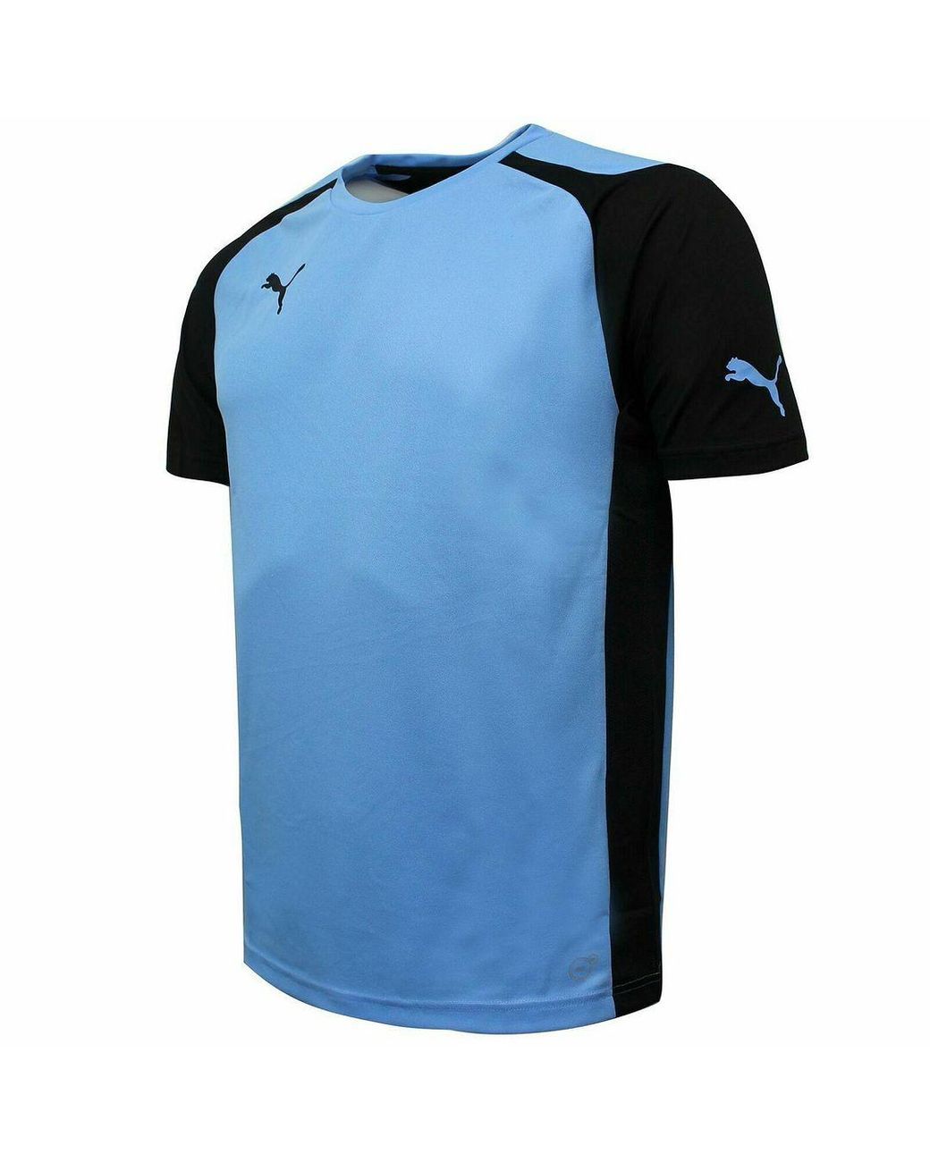 PUMA Blue Short Sleeve Crew Neck Speed T-Shirt 701906 51 for men