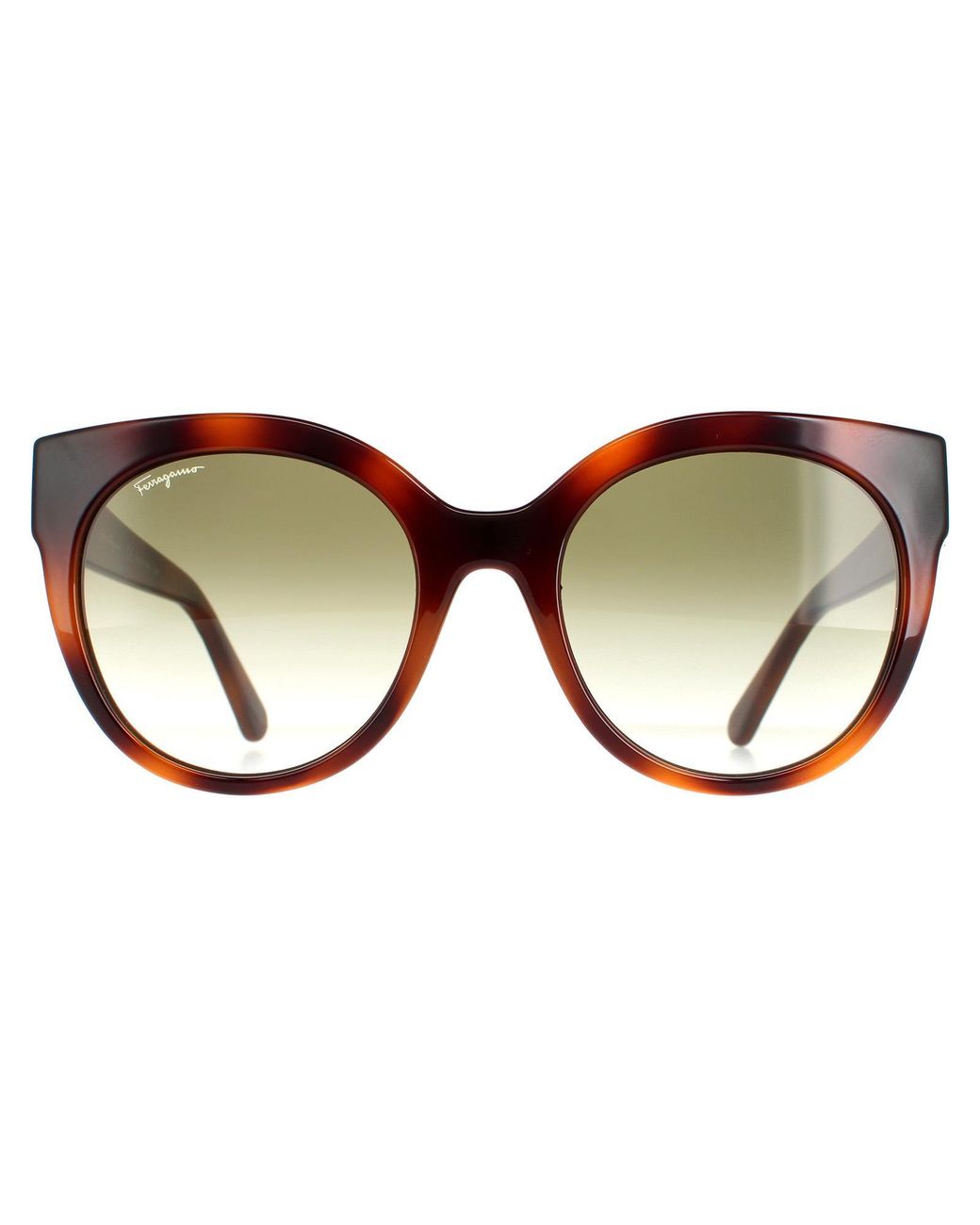 Ferragamo Brown Cat Eye Tortoise Sf1031S