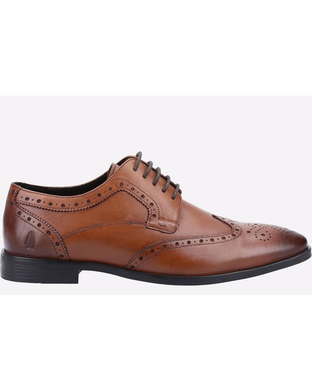 Hush Puppies Brown Elliot Brogue Memory Foam for men
