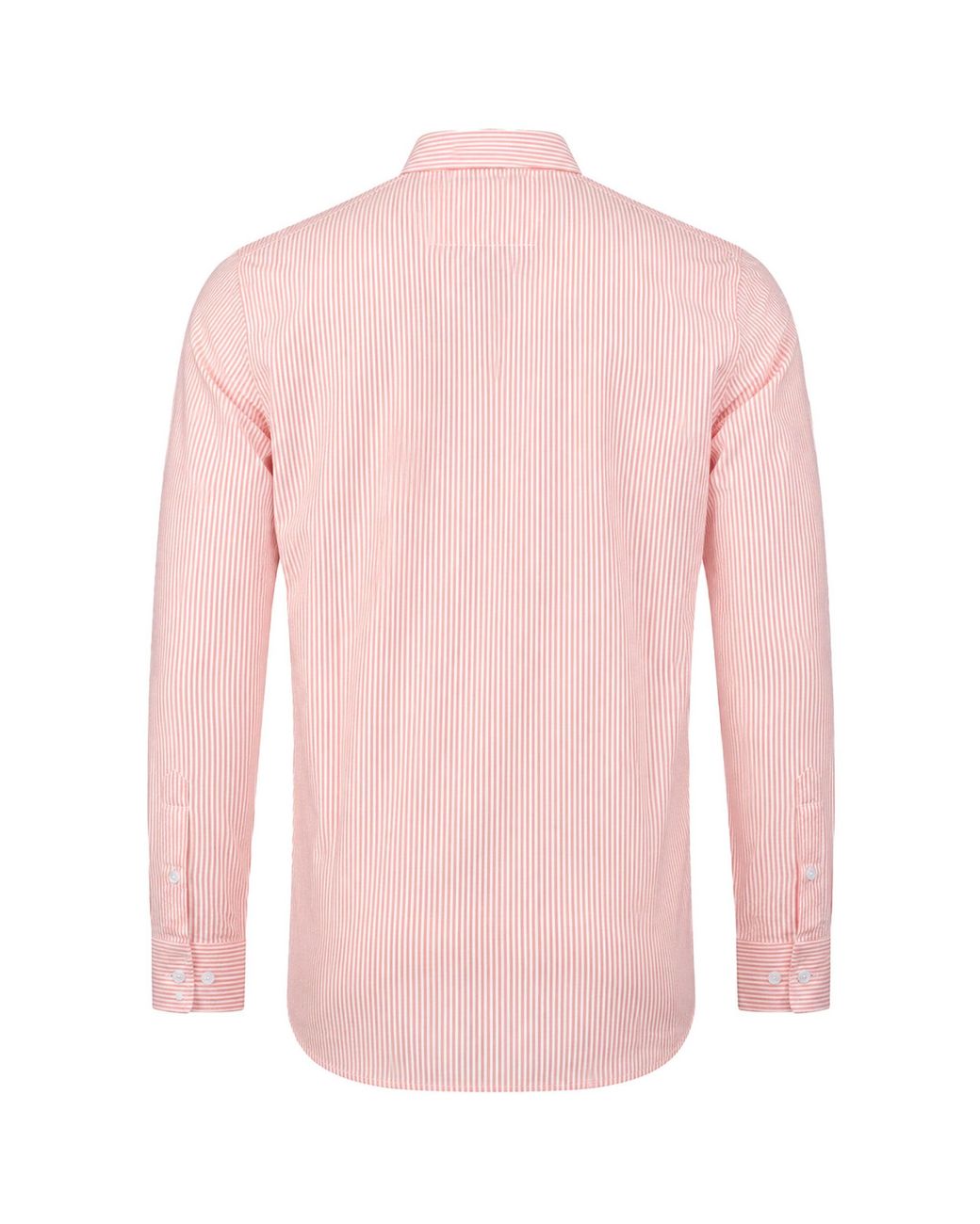 Nautica Pink Paneo Shirt Cotton for men