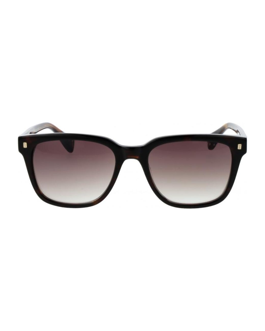 Ted Baker Brown Tb1754 54119 54 119 Sunglasses for men