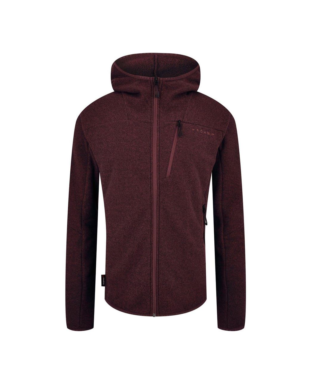 Fohn Purple Hooded Regular Fit Sweatshirt for men